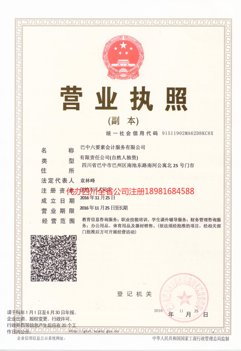 大安大安六要素会计服务有限公司